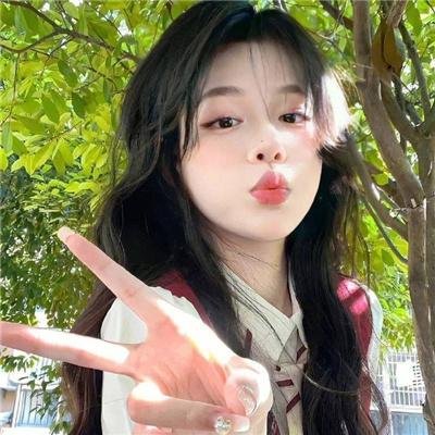 大象家族